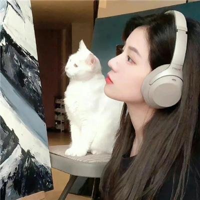 阿衰第二季